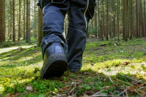 chaussures foret